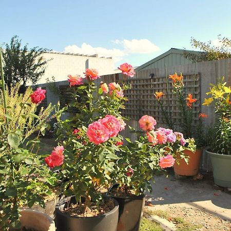 Cooma Cottage מראה חיצוני תמונה