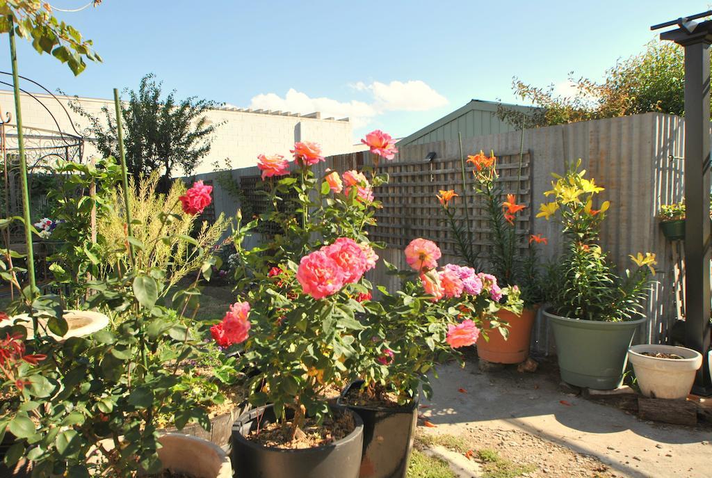 Cooma Cottage מראה חיצוני תמונה